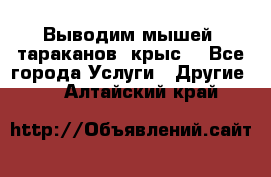 Выводим мышей ,тараканов, крыс. - Все города Услуги » Другие   . Алтайский край